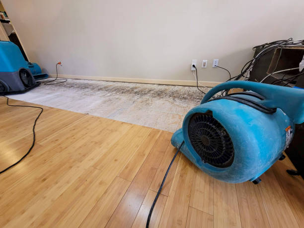 Professional Flood Damage Cleanup technician working in Hamilton, AL